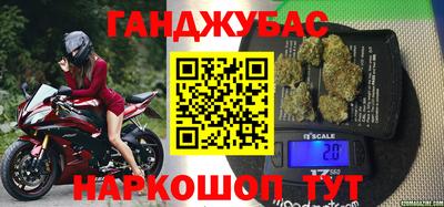 прущие грибы Чебоксары