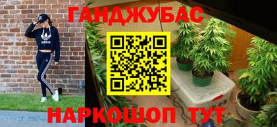 прущие грибы Чебоксары