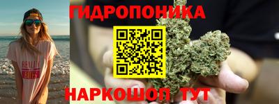 прущие грибы Чебоксары
