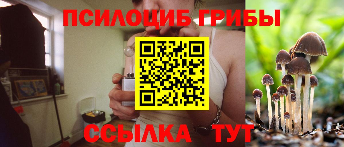 Псилоцибиновые грибы мухоморы  Вход с VPN  Нижний Тагил  Псилоцибиновые грибы Psilocybe 